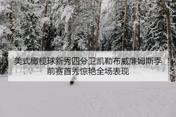 mei-shi-gan-lan-qiu-xin-xiu-si-fen-wei-kai-lei-bu-wei-lian-mu-si-ji-qian-sai-shou-xiu-jing-yan-quan-chang-biao-xian-2-771.jpg