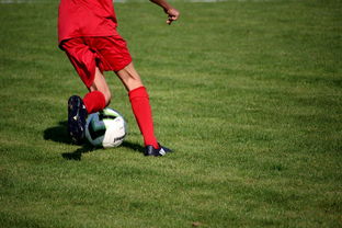 爱游戏体育-俱乐部青训体系与职业联赛脱节，俱乐部青训有工资吗